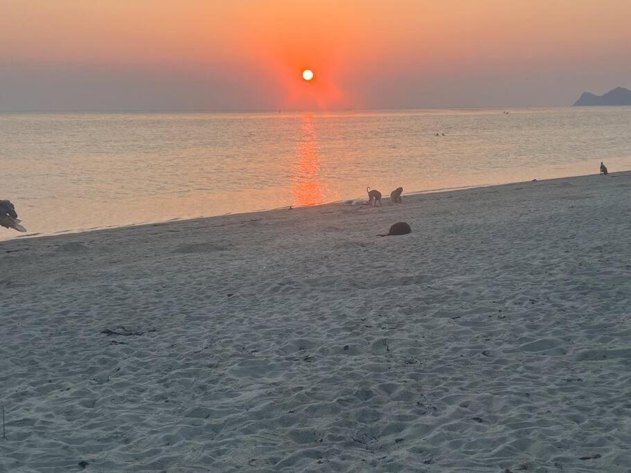 Sunset Serenity Cove Ко Панган Екстериор снимка