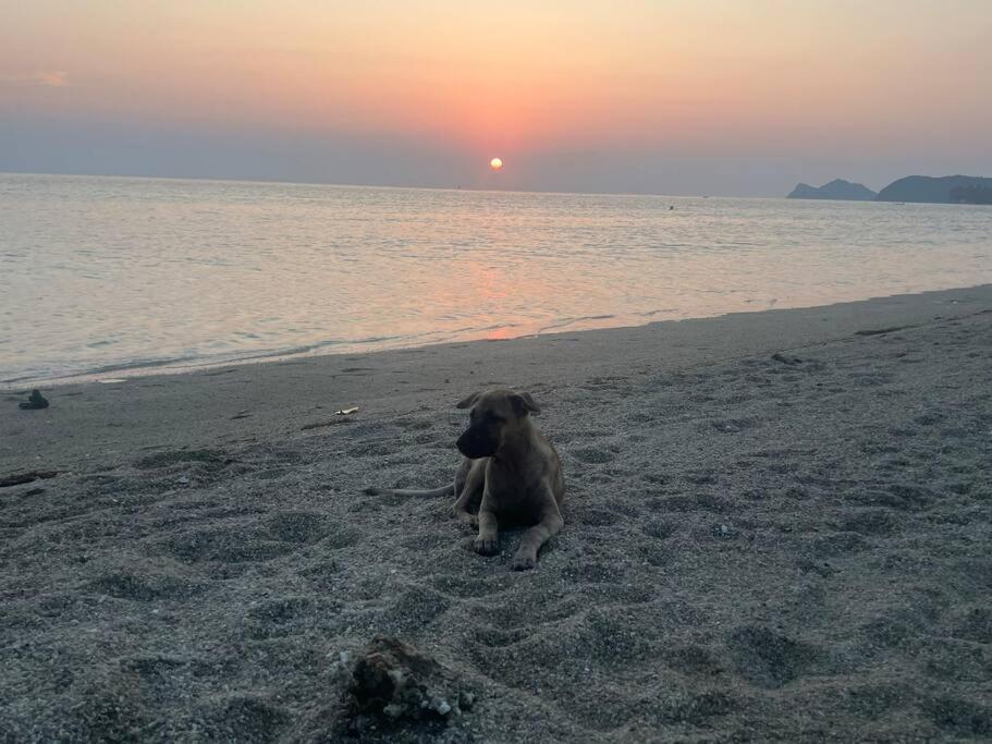 Sunset Serenity Cove Ко Панган Екстериор снимка